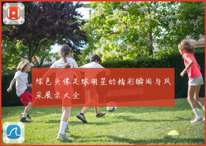 绿色头像足球明星的精彩瞬间与风采展示大全