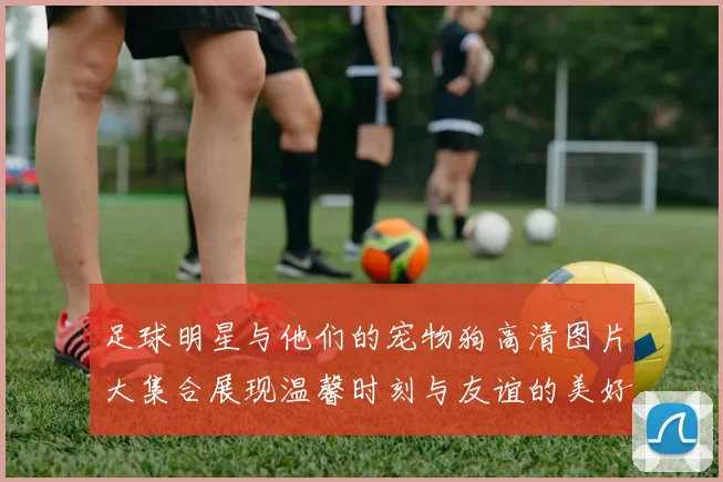 足球明星与他们的宠物狗高清图片大集合展现温馨时刻与友谊的美好瞬间