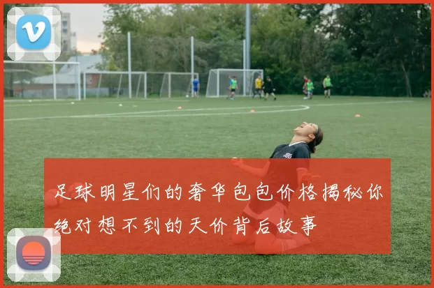 足球明星们的奢华包包价格揭秘你绝对想不到的天价背后故事