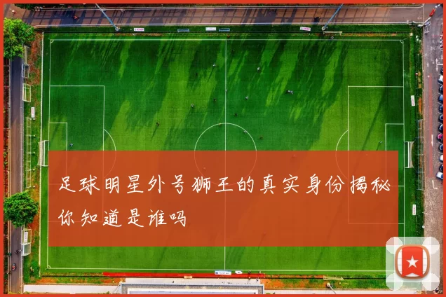 足球明星外号狮王的真实身份揭秘你知道是谁吗