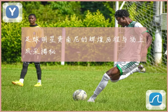 足球明星费南尼的辉煌历程与场上风采揭秘