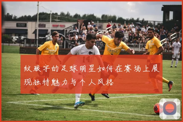 纹狼字的足球明星如何在赛场上展现独特魅力与个人风格