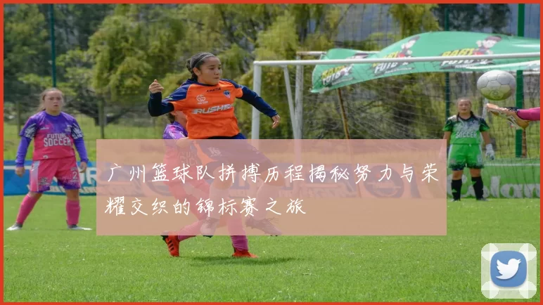 广州篮球队拼搏历程揭秘努力与荣耀交织的锦标赛之旅