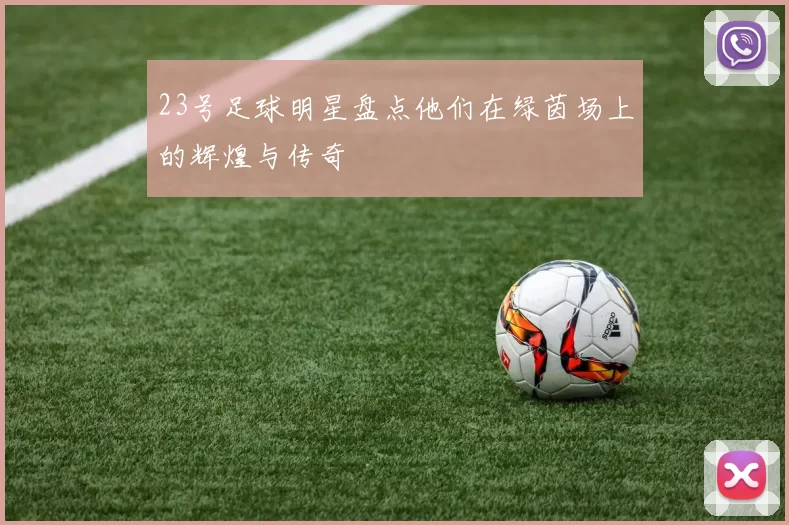 23号足球明星盘点他们在绿茵场上的辉煌与传奇