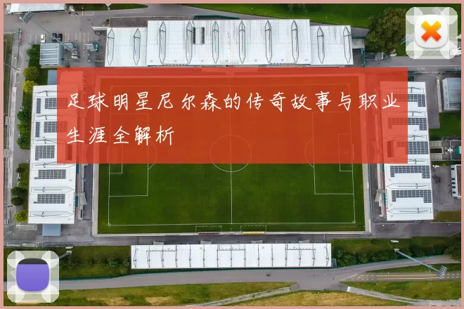 足球明星尼尔森的传奇故事与职业生涯全解析