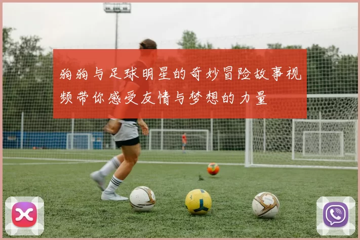 狗狗与足球明星的奇妙冒险故事视频带你感受友情与梦想的力量