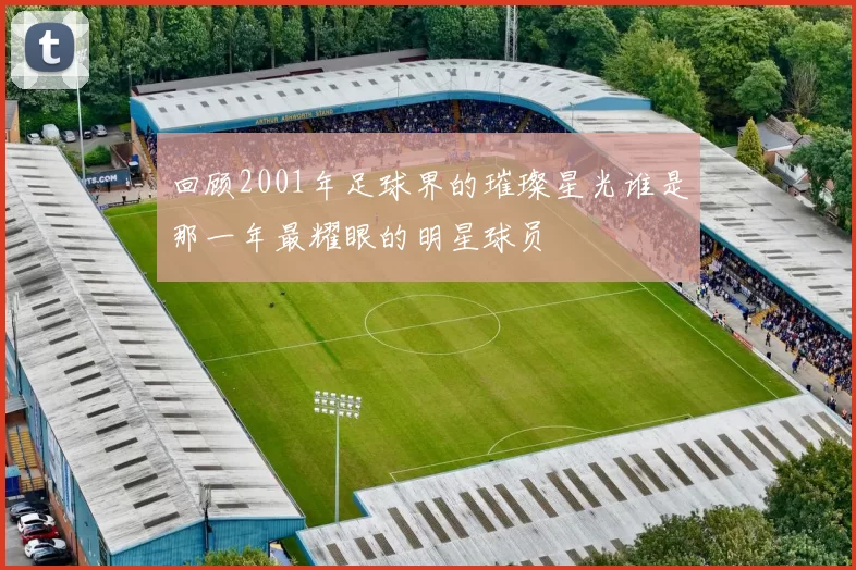 回顾2001年足球界的璀璨星光谁是那一年最耀眼的明星球员