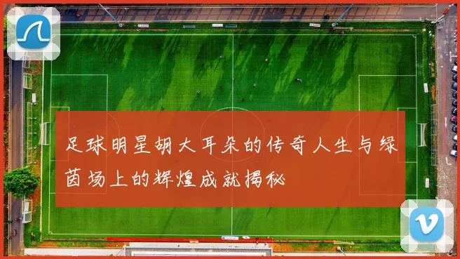 足球明星胡大耳朵的传奇人生与绿茵场上的辉煌成就揭秘