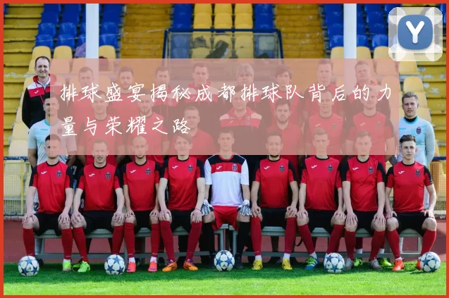 排球盛宴揭秘成都排球队背后的力量与荣耀之路