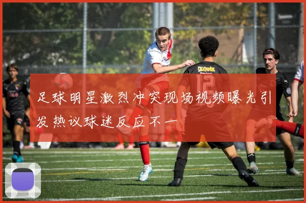 足球明星激烈冲突现场视频曝光引发热议球迷反应不一