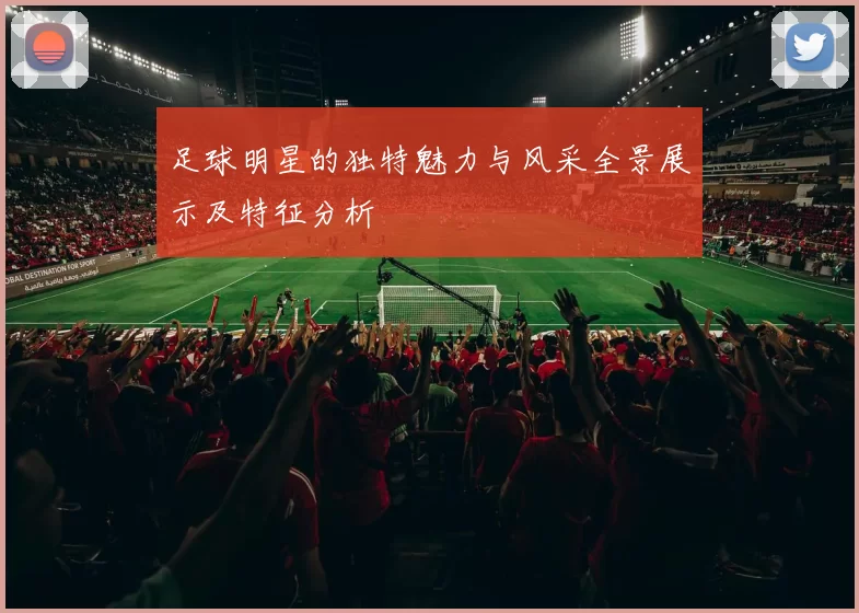 足球明星的独特魅力与风采全景展示及特征分析