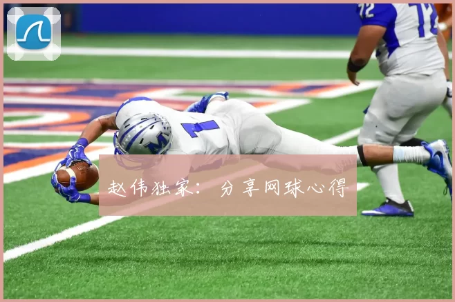 赵伟独家：分享网球心得